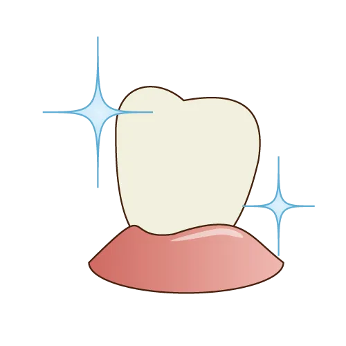専門的なクリーニング